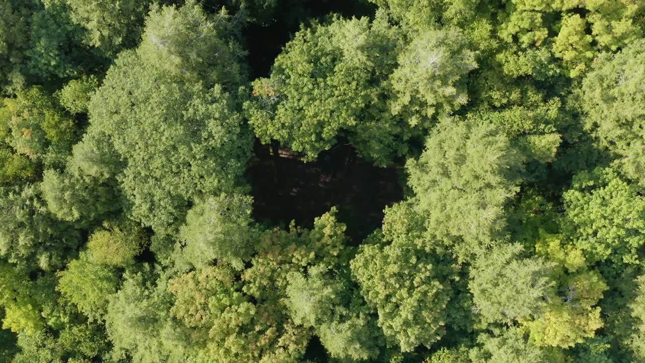 Aerial Descent into a Forest to reveal campsite
