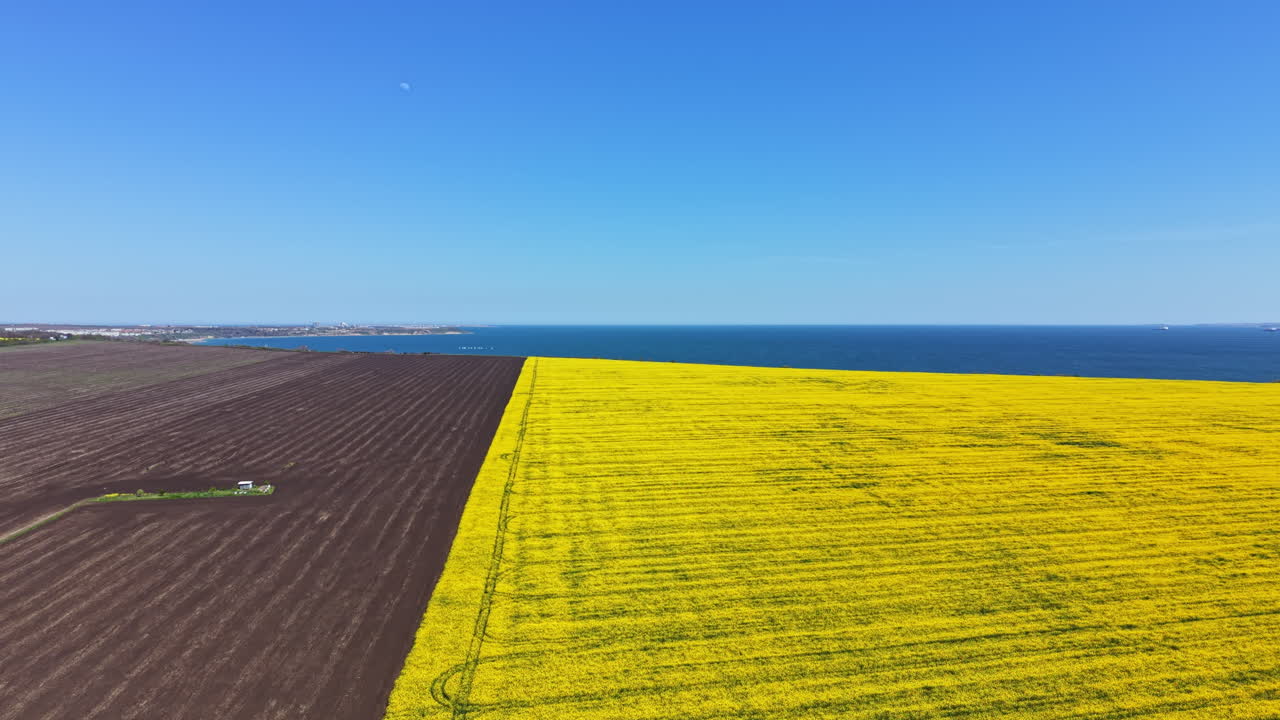 Campo giallo brillante accanto al mare blu sotto un cielo sereno di giorno vicino a un'area rurale
