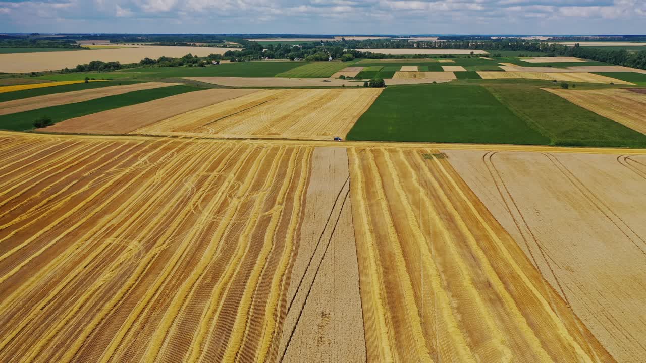 Incredible landscape of golden fields. Flying over green and yellow fields in the countryside. Aerial view of natural scenery in summer.