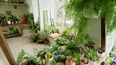 una tienda de plantas acogedora y vibrante con una variedad de plantas de interior y exterior