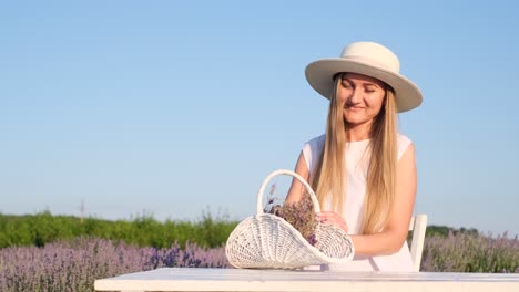 an attractive blonde in a white hat is sitting at a table on a lavender field an attractive blonde in a white hat is sitting at a table on a lavender field photo session in white tones on a lavender field provence