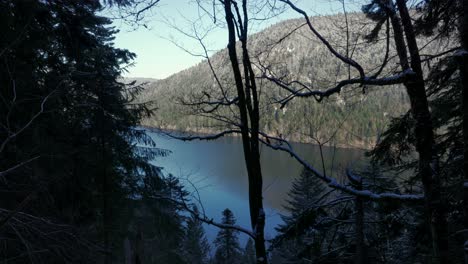 Toma-Estática-Del-Lago-Longemer-Detrás-Del-Bosque-De-Pinos,-Montañas,-En-Los-Vosgos,-Francia.