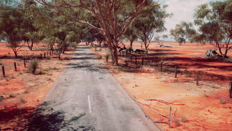 the open road in kimberly of western australia