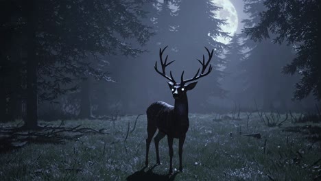 mysterious deer in a moonlit forest