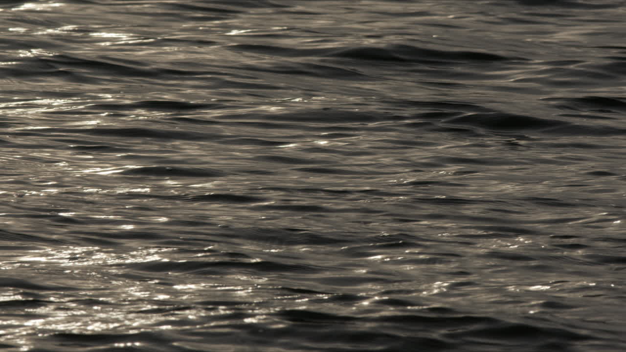 las ondas de agua lisa y lúcida en un patrón tranquilo hipnotizante con luz brillante