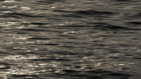 lucid smooth water ripples in mesmerizing calm pattern with shining light