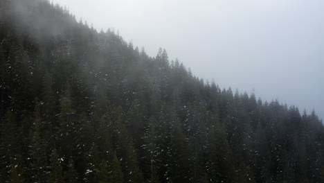 Flyover-Conifer-Woods-Near-Olympic-National-Park,-Olympic-Peninsula,-Washington-State,-USA