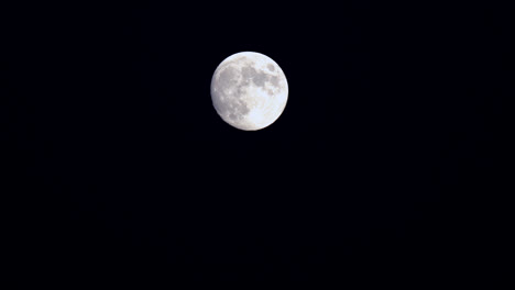 Primer-Plano-De-La-Luna-Llena-Aislada-En-El-Cielo-Nocturno,-Evento-Astronómico