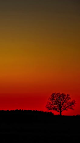 timelapse of sun going down - sunset in rural landscape - vertical shot