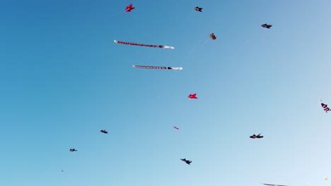 cometas coloridos volando en el claro cielo azul de verano en bali, indonesia