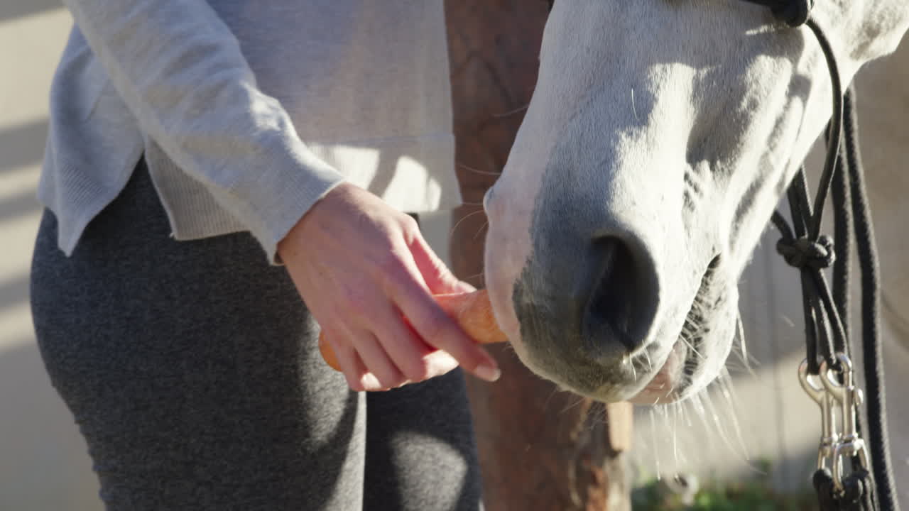 멋지기 전에 채식주의 식단을 했어요.