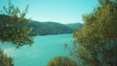 countryside river among mountain pine trees hills at sunshine, behind wind shaking trees under blue sky 4k