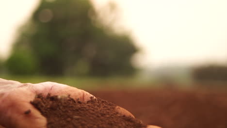 hermosa imagen de manos que manejan delicadamente la tierra roja, mostrando una conexión con el suelo vibrante y colorido en un momento visualmente cautivador