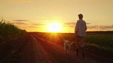 man walking his dog on a country road at sunset