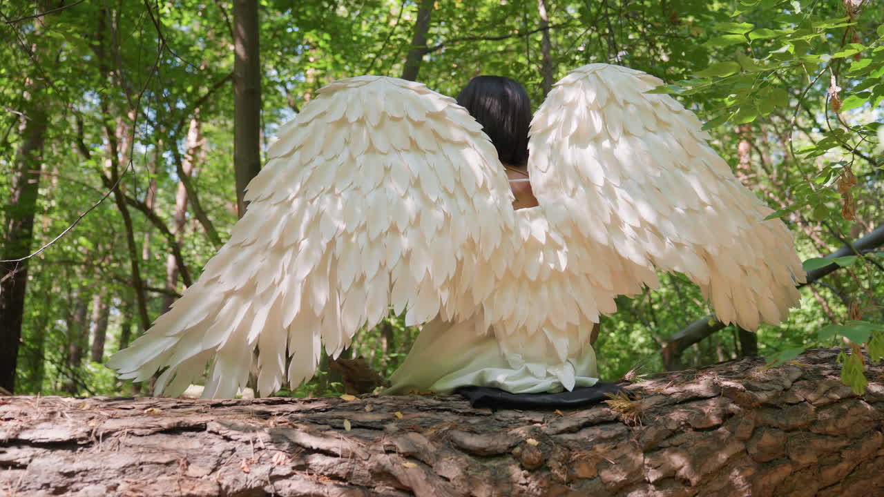 Rear view of angelic creature with large white wings seated on fallen tree surrounded by sunlight and green forest, atmosphere peaceful, mystical, symbolizing purity