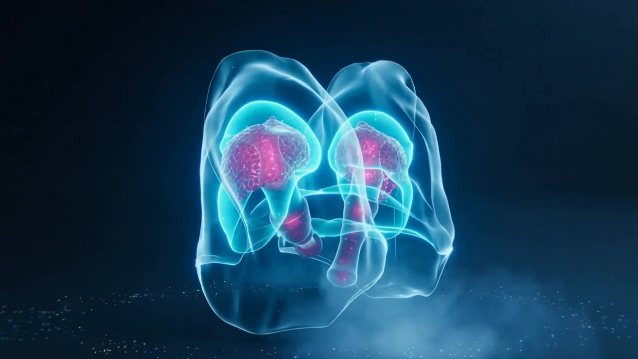Opening frontal view, glowing 3D lungs with trachea rotating and pulsing in navy studio for anatomy