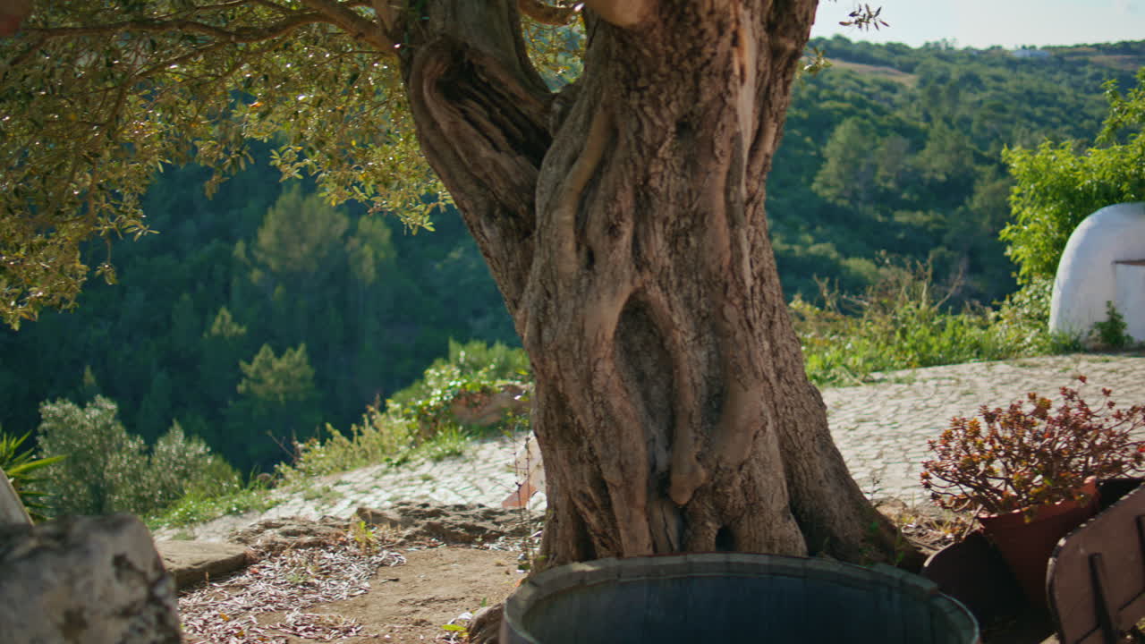 편안한 여자가 산을 고 있는 빛의 언덕에서 돌로 된 길을 가고 있는 여인