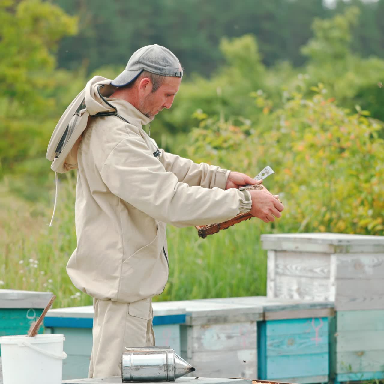 Experienced adult apiarist holds a frame and looks at it intently. Beekeeper examining his harvest thoroughly. Nature in blur at backdrop