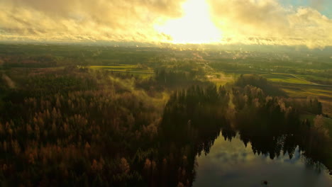 Sol-Amarillo-Brillante-En-El-Cielo-Sobre-El-Lago-Y-El-Bosque