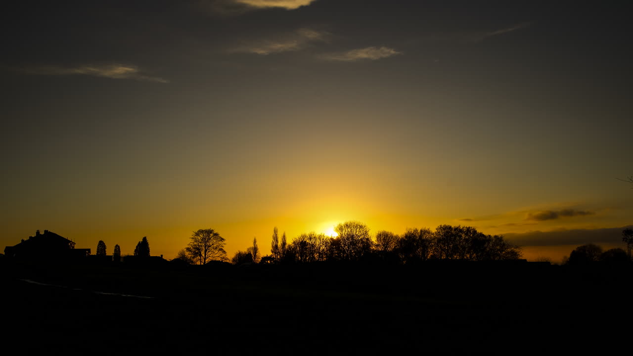 puesta de sol lenta detrás de un árbol con corredores corriendo por el parque