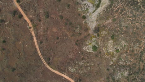 antena: toma aérea de drones de un camino de tierra junto al lago verde