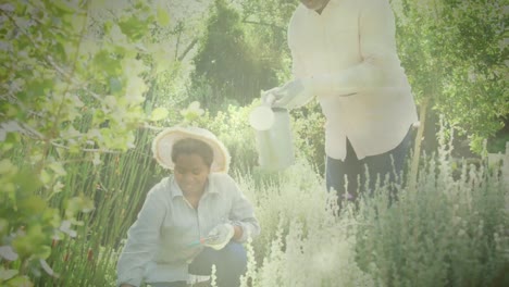 Video-of-blue-lights-over-biracial-man-and-woman-working-in-the-garden