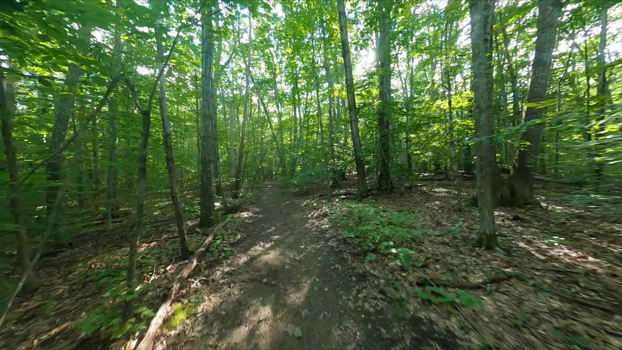 Drone FPV che sfreccia lungo un sentiero escursionistico sotto la chioma degli alberi, con il sole che filtra tra le foglie, e termina con una rapida panoramica a destra
