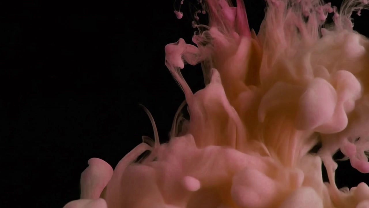 Inchiostro rosa e pesca che turbina nell'acqua su sfondo nero