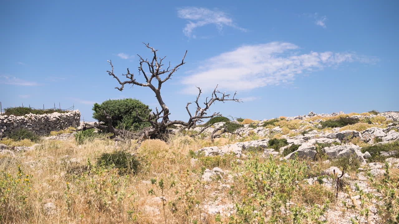 A view over the island of Rab in the Kamenjak Mountain in the summer of 2018 during a hike on vacation