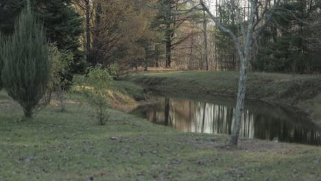 beautifully landscaped yard on an acreage in the ottawa, ontario region treed with a gorgeous pond