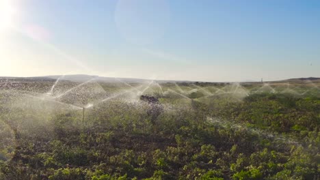 Farmer-and-field-irrigation-system-in-slow-motion.