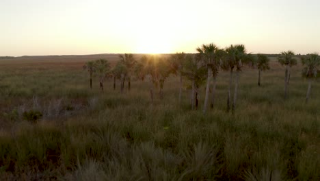 Excellent-Aerial-Shot-Of-The-Sun-Setting-On-A-Prairie-In-The-Florida-Everglades