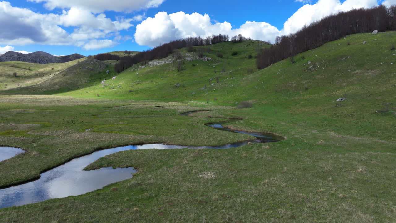 Sorvolo di un ruscello di montagna tortuoso con acqua limpida in una soleggiata giornata primaverile.