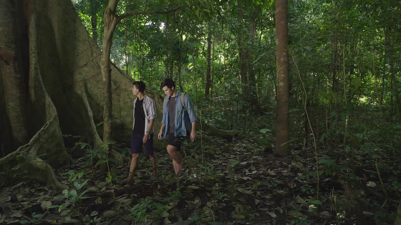 Men Hiking in a Lush Rainforest