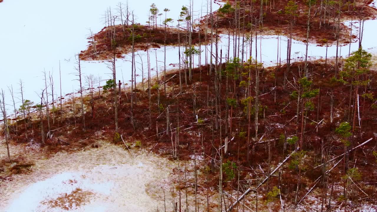 Drone panorama reveals Cenas bog nature reserve as untouched wetland ecosystem