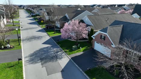 Vista-Aérea-De-Un-árbol-En-Flor-Frente-A-Una-Casa-En-Una-Zona-Residencial-En-Los-Estados-Unidos