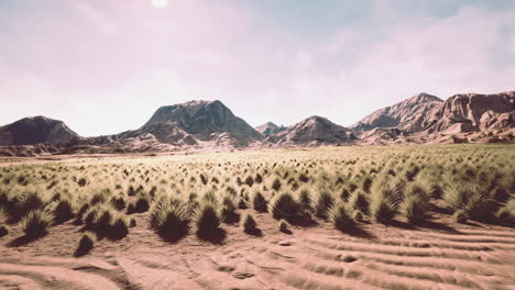 desierto de piedras en el interior de australia