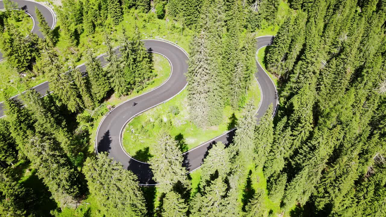 Twisting alpine road with lone cyclist weaving through dense pine forest below peaks