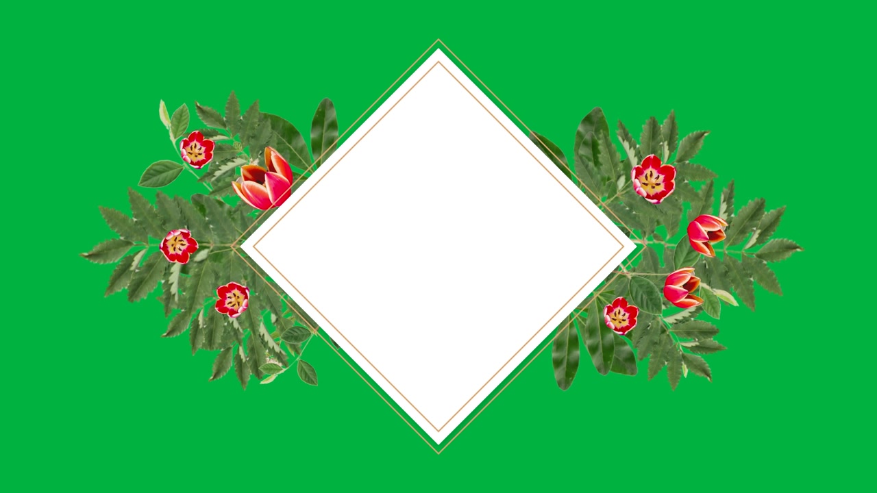 Animated Diamond Frame with Tropical Leaves and Flowers on Green Screen