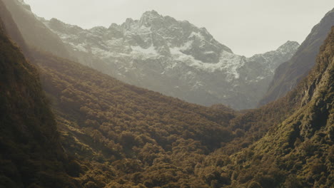majestic fiordland valley with snow-capped peaks