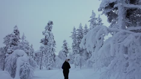 Junges-Mädchen-Erkundet-Die-Landschaft-Im-Verschneiten-Wald-In-Lappland,-Finnland-Und-Am-Polarkreis