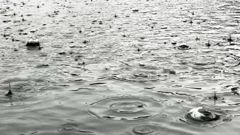 rippled water surface during rain, slow motion view