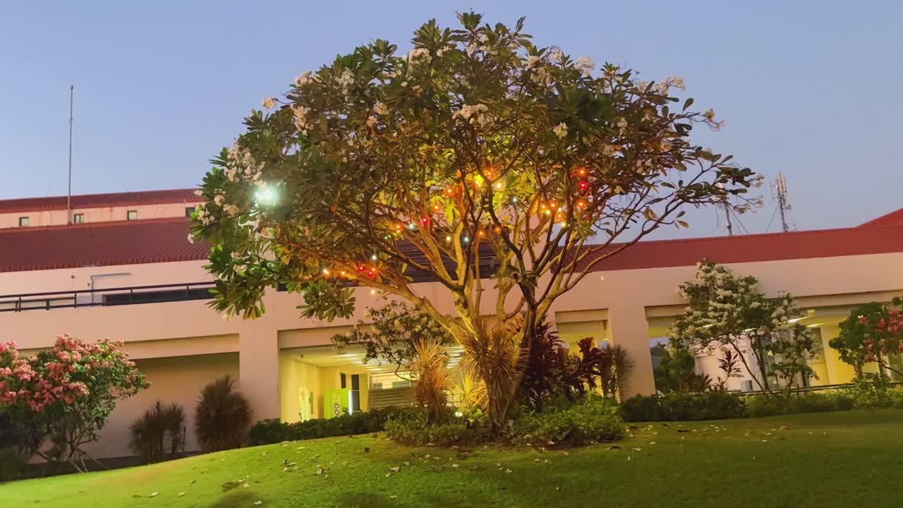 Decorated tree with lights in Bangkok, Thailand