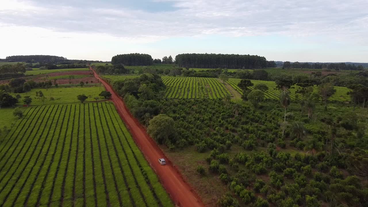 A close-up view of a vehicle moving through the agricultural fields, forest and red soil, Salto Chavez Ober&aacute;, Misiones, Argentina