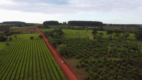 a close-up view of a vehicle moving through the agricultural fields, forest and red soil, salto chavez oberá, misiones, argentina