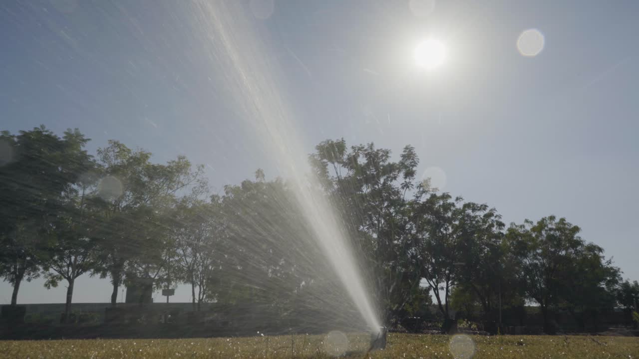 brillante y soleado día de verano