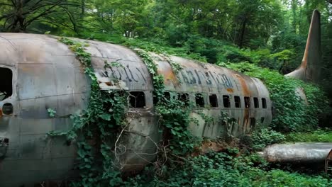 a rusted out airplane sitting in the middle of a forest