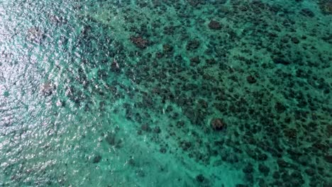 tropical coral reef in kauai, hawaii, usa