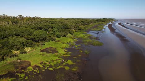 Aerial-drone-footage-of-Rio-de-la-Plata-river-delta-at-El-Destino-Natural-Reserve-showcasing-exposed-muddy-sediment-on-riverbanks-during-low-tide-in-Buenos-Aires