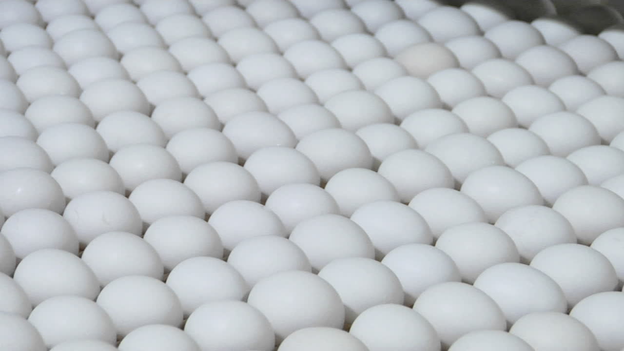 노동자는 공장에서 계란을 분류 1